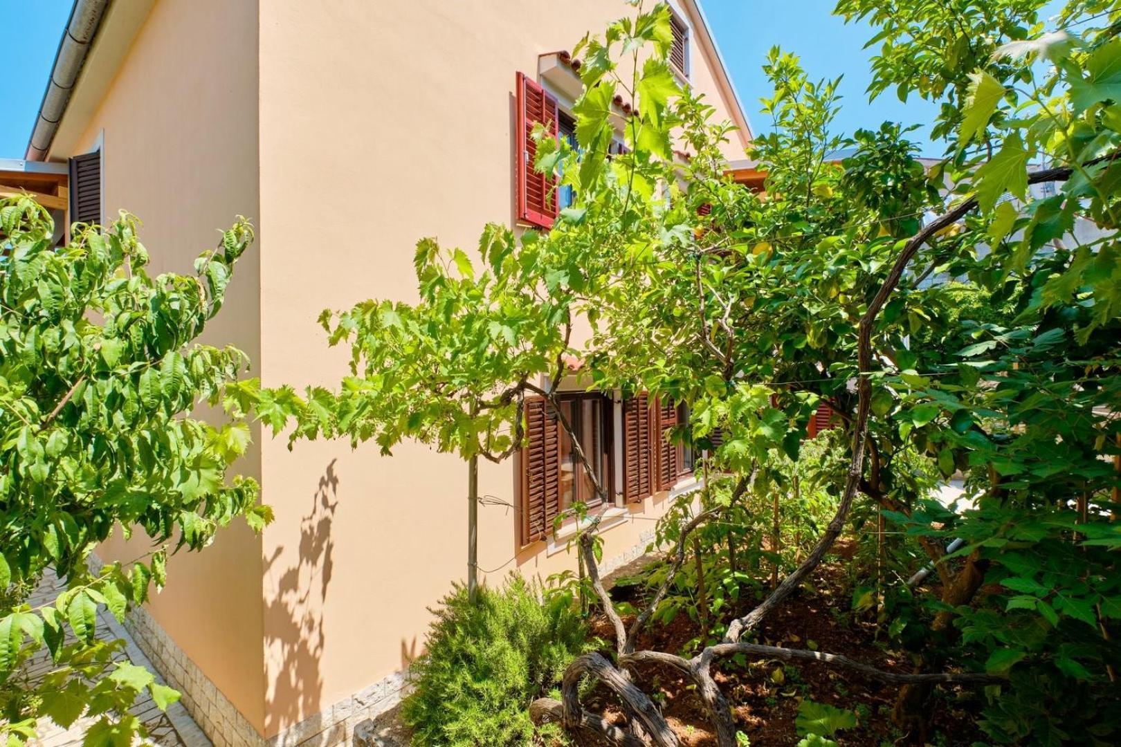 מאלי לוסיניי Apartments Ady מראה חיצוני תמונה